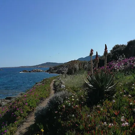 Algajola Апартаменты Альгайола