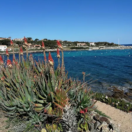 Algajola Apartment Algajola (Corsica)